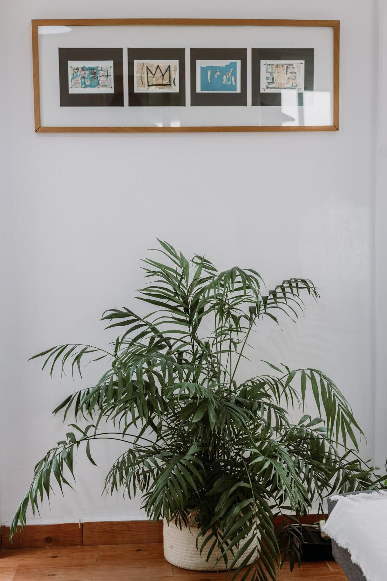 Spacious Central Apartment セビリア エクステリア 写真